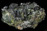 Epidote Crystal Cluster on Actinolite - Pakistan #68245-2